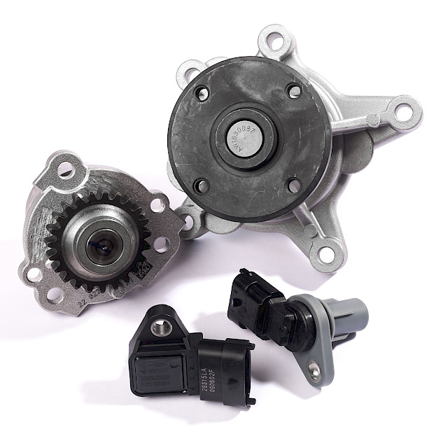 Motor